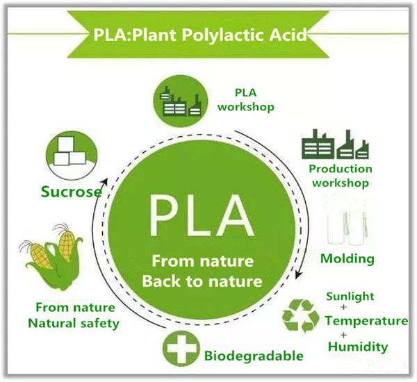 Custom Biodegradable Plastic Bags