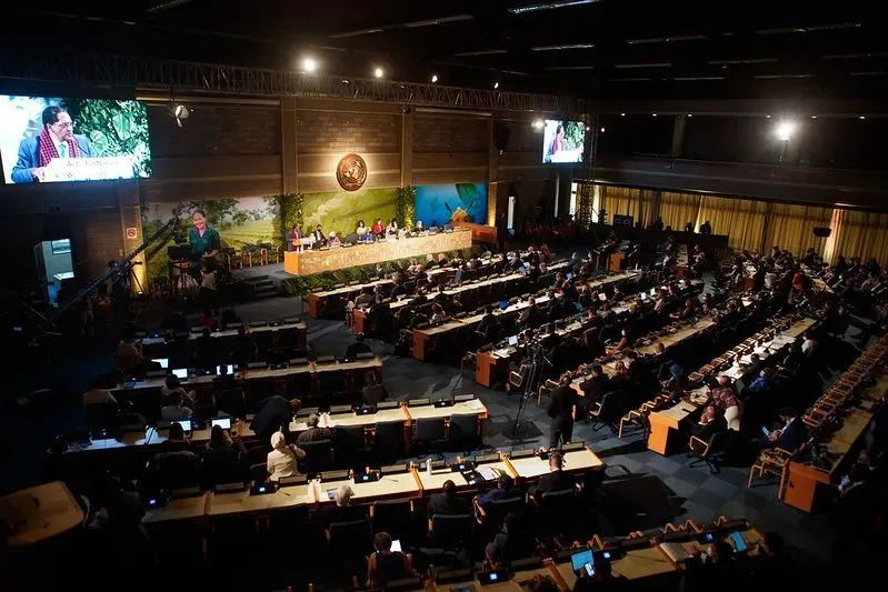 Biodegradable Tableware