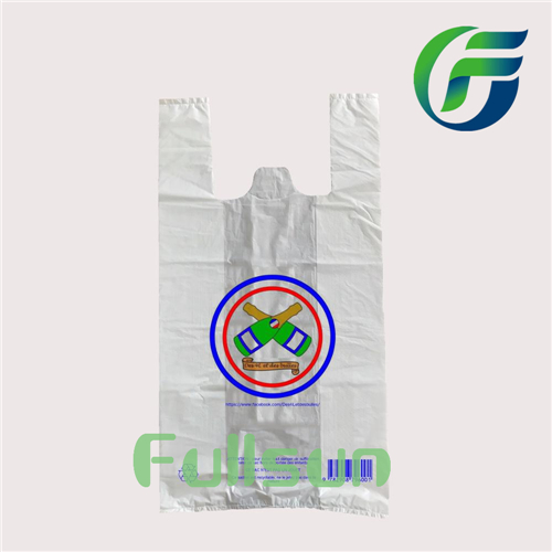 Custom Biodegradable Plastic shopping Bags