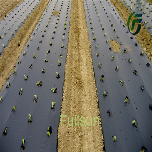 Biodegradable Black Plastic Mulch