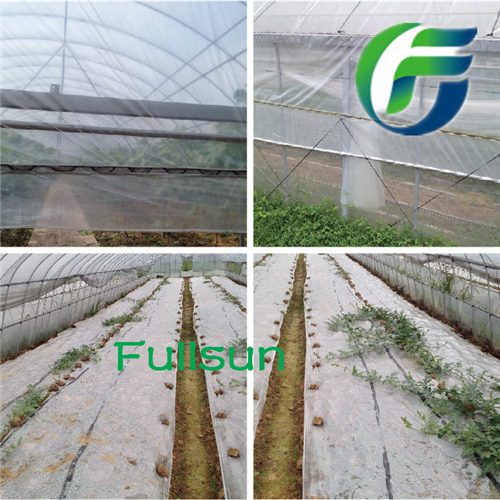 Sales Biodegradable Agricultural Film