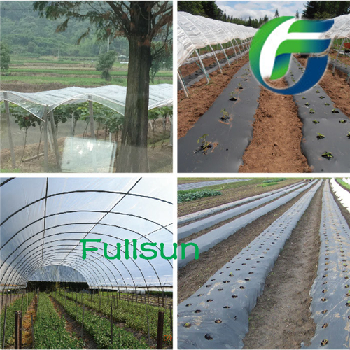 Sales Biodegradable Plastic Film