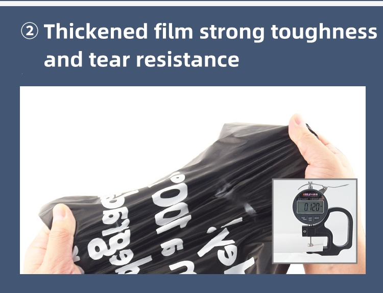 Biodegradable Mailing Bag Courier Packaging Bag Compostable En13432 Custom Printed Shipping Express Bag