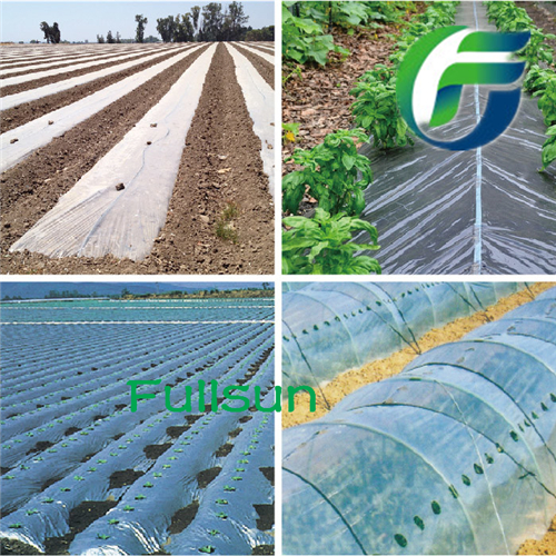 Biodegradable Plastic Film