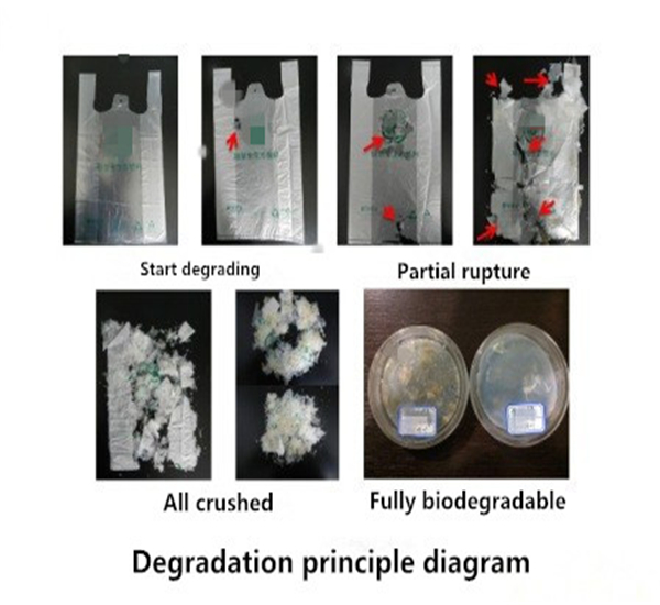 Degradable Plastic Are Biodegradable