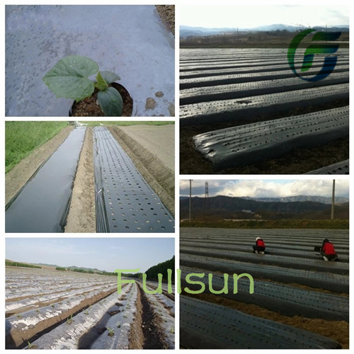 Biodegradable Black Plastic Mulch